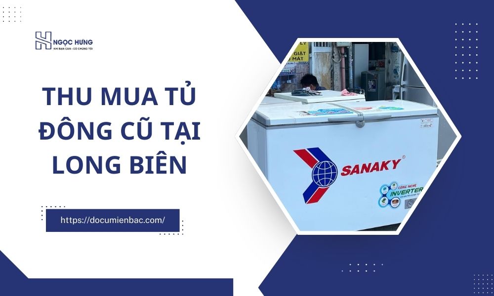 Thu Mua Tủ Đông Cũ Tại Long Biên