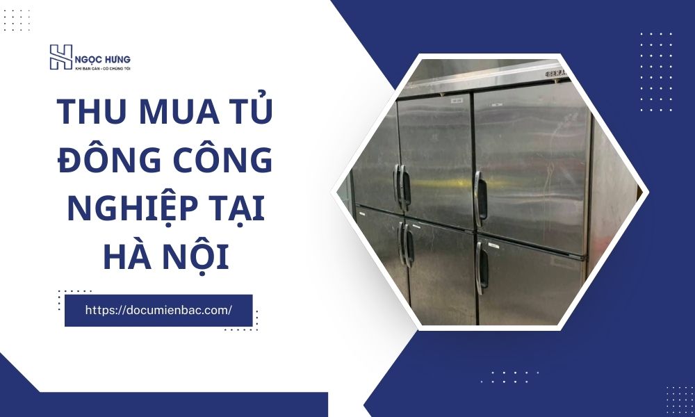 Thu Mua Tủ Đông Công Nghiệp Tại Hà Nội