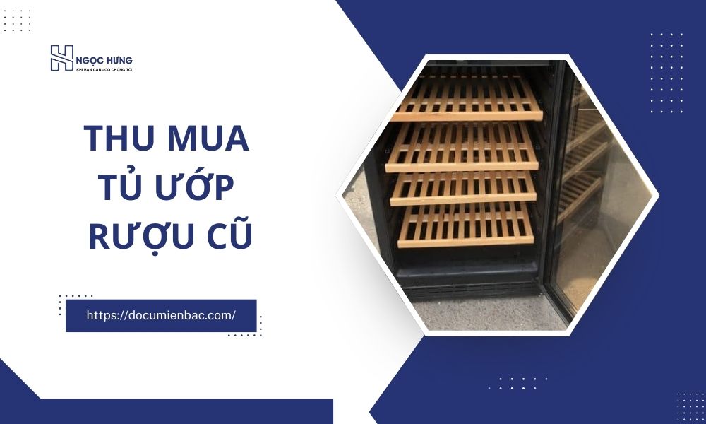 Thu Mua Tủ Ướp Rượu Cũ