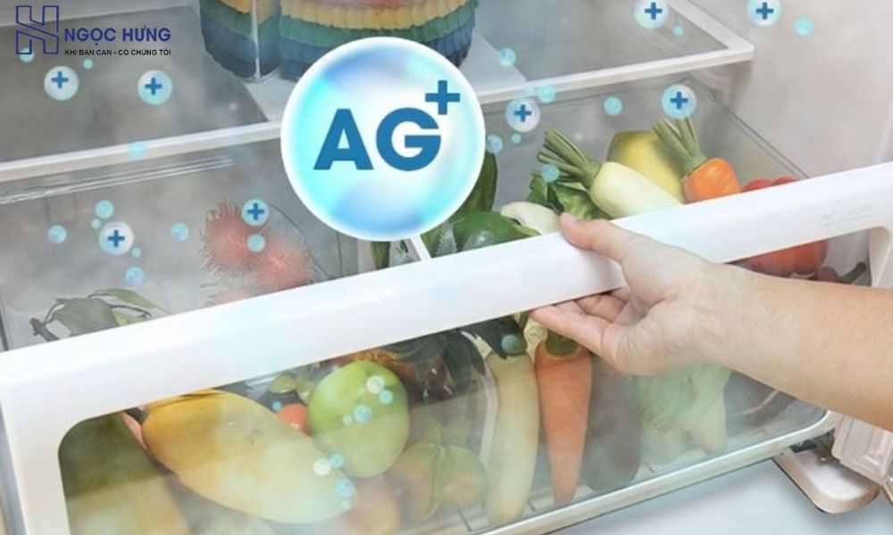 Công Nghệ Khử Mùi Nano Ag+ Giúp Bảo Quản Thực Phẩm Tươi Lâu