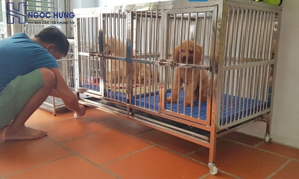 Thu Mua Chuồng Chó Cũ Tại Miền Bắc – Uy Tín Giá Cao 4 Chuồng Chó Cũ Được Thu Mua Tái Sử Dụng