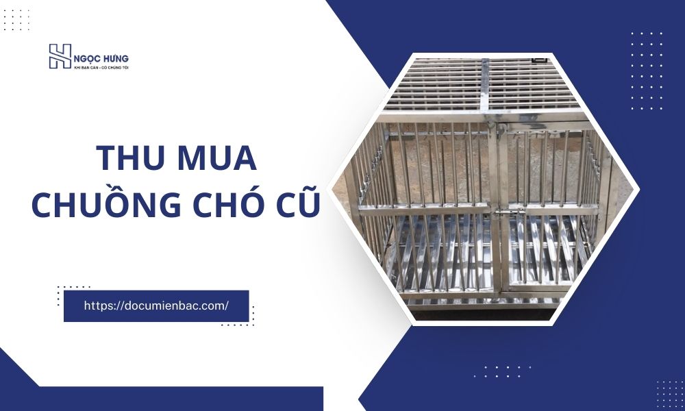 Thu Mua Chuồng Chó Cũ