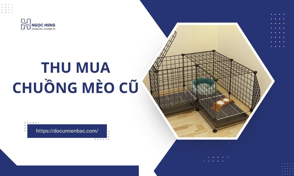 Thu Mua Chuồng Mèo Cũ